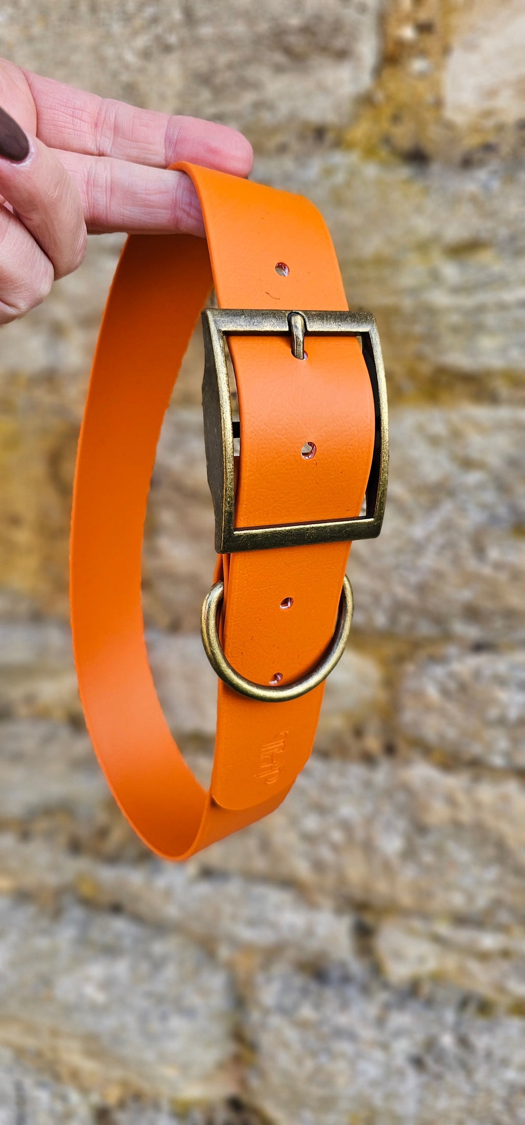 Burnt Orange - Mighty Paws Waterproof BioThane© Dog Collar