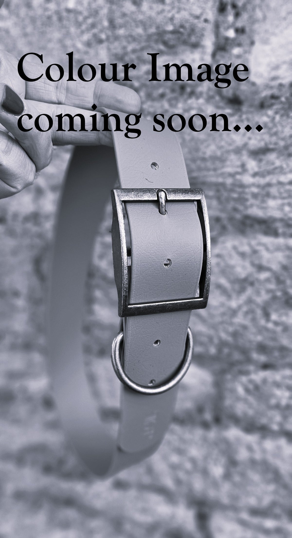 Aubergine - Mighty Paws Waterproof BioThane© Dog Collar