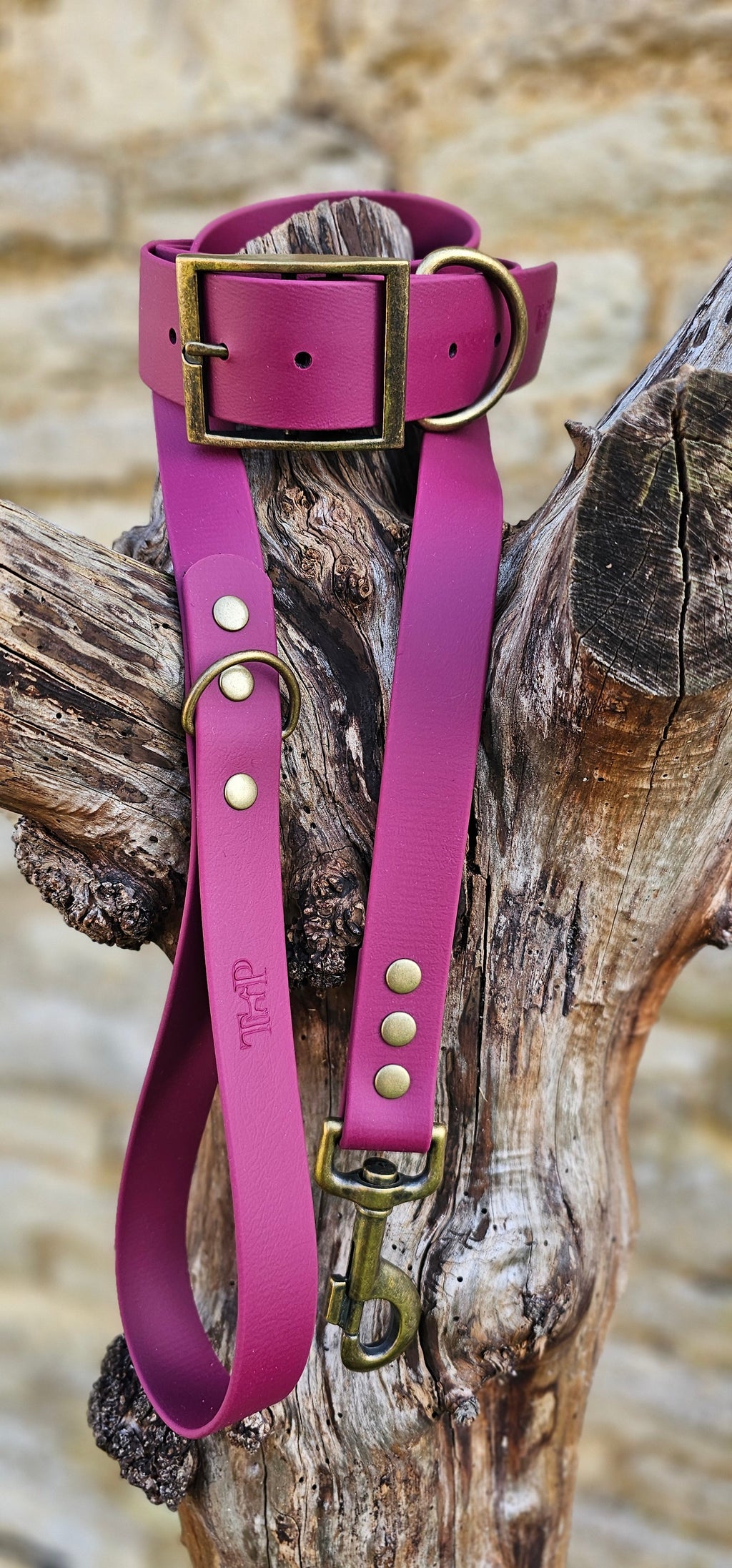 Burgundy - Mighty Paws Waterproof BioThane© Dog Collar