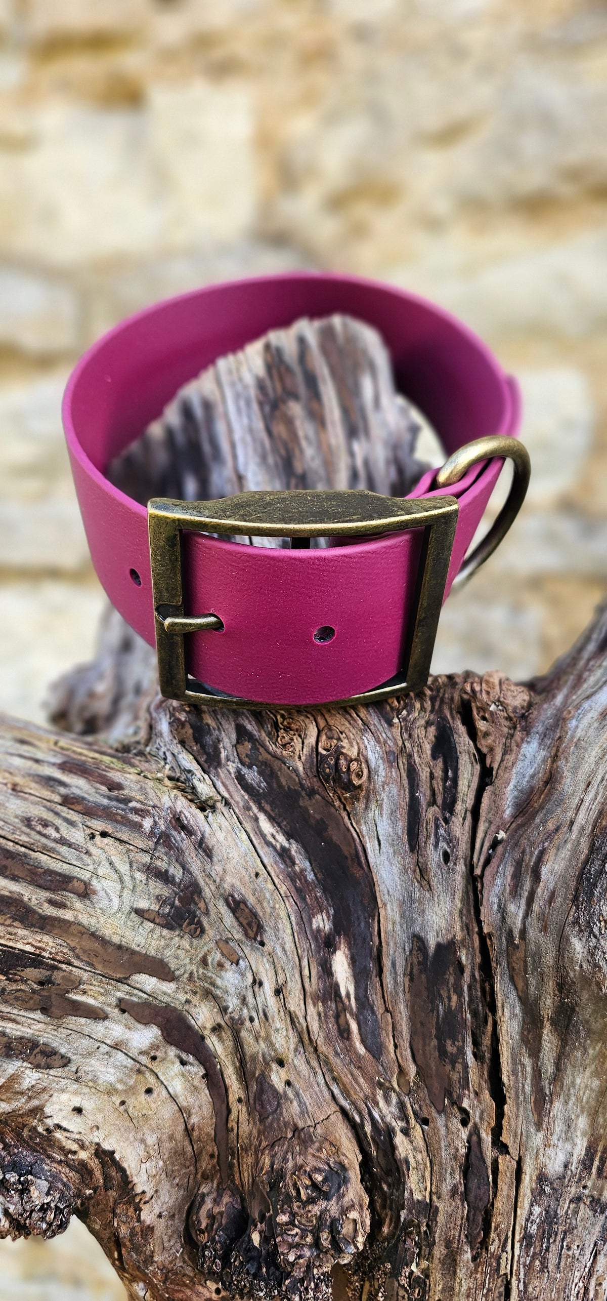 Burgundy - Mighty Paws Waterproof BioThane© Dog Collar