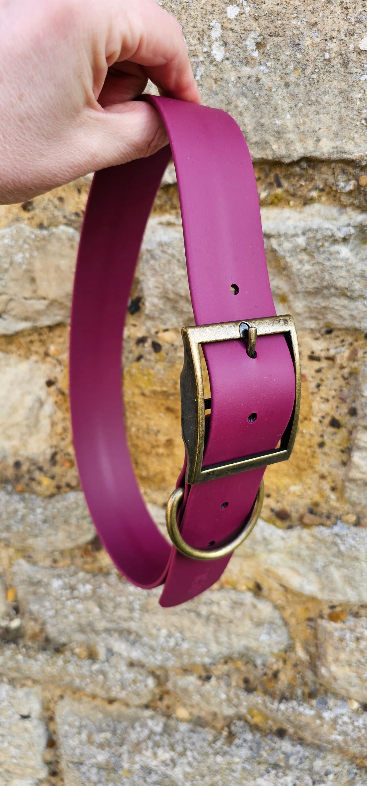 Burgundy - Mighty Paws Waterproof BioThane© Dog Collar