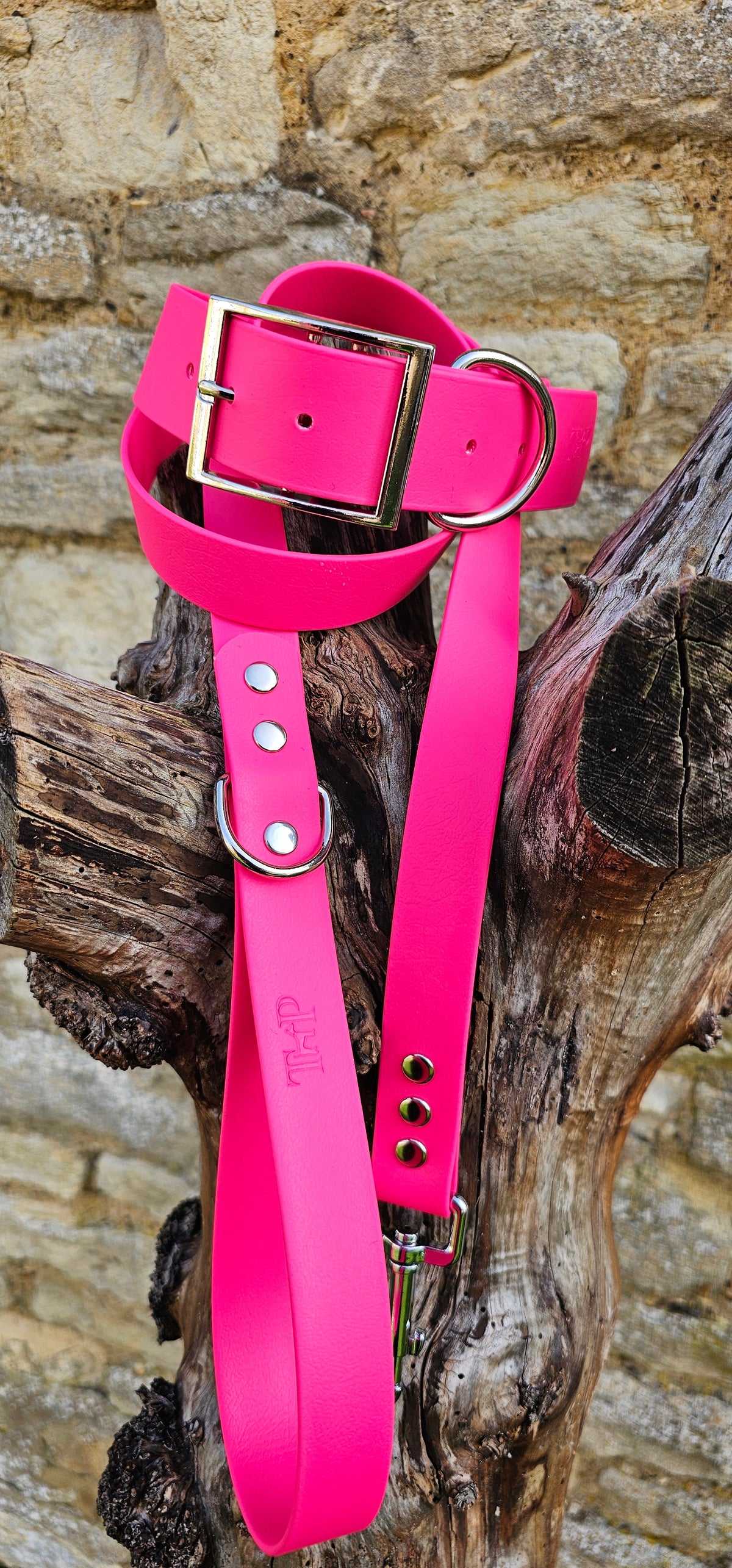 Passion Pink - Mighty Paws Waterproof BioThane© Dog Collar