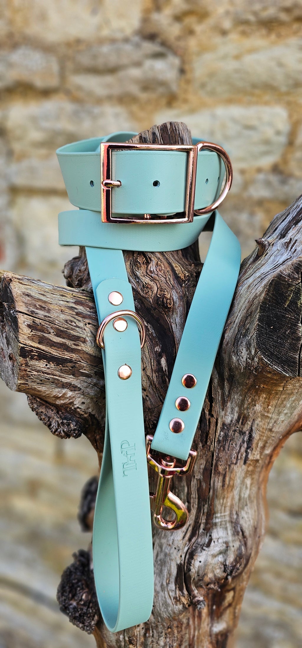 Sage - Mighty Paws Waterproof BioThane© Dog Collar