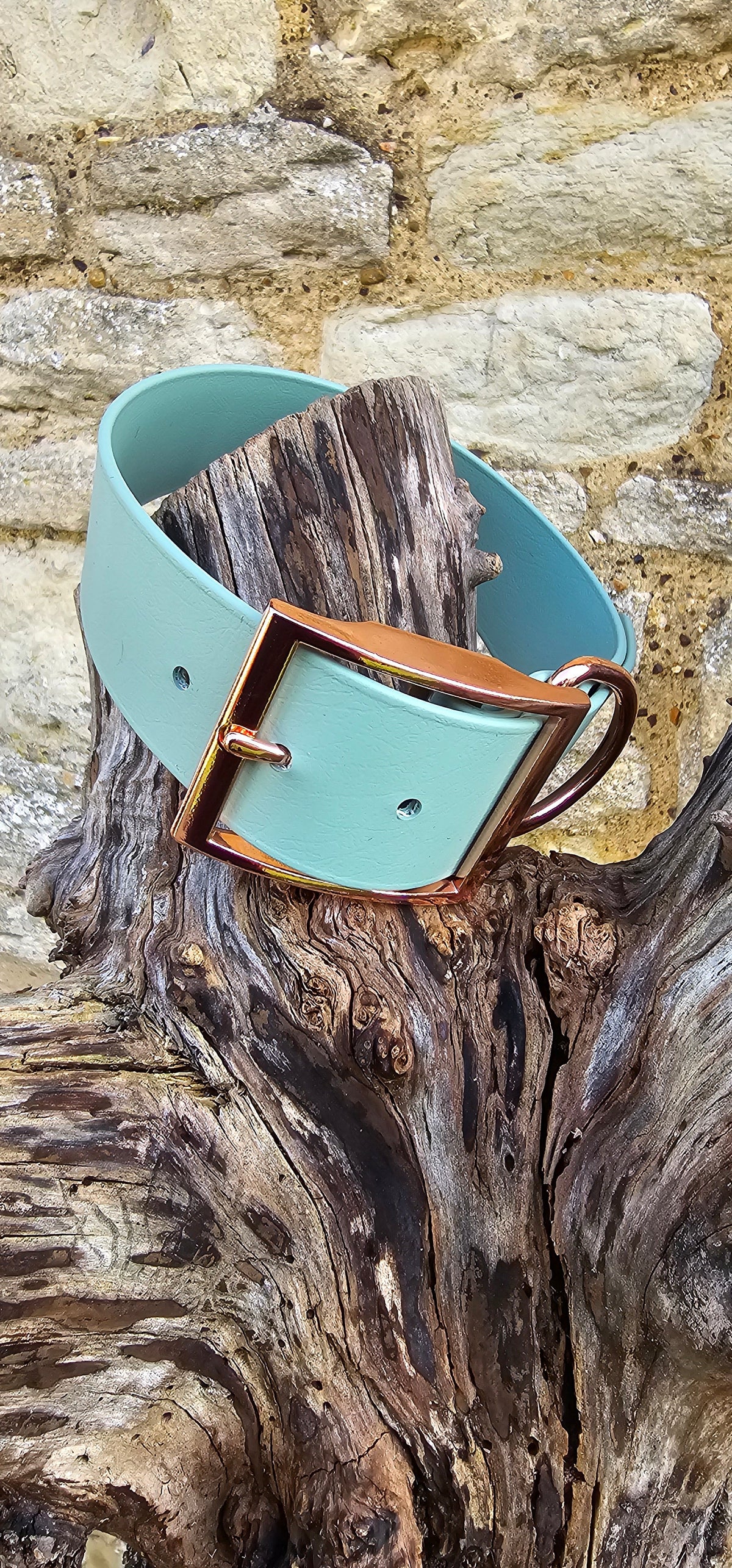 Sage - Mighty Paws Waterproof BioThane© Dog Collar