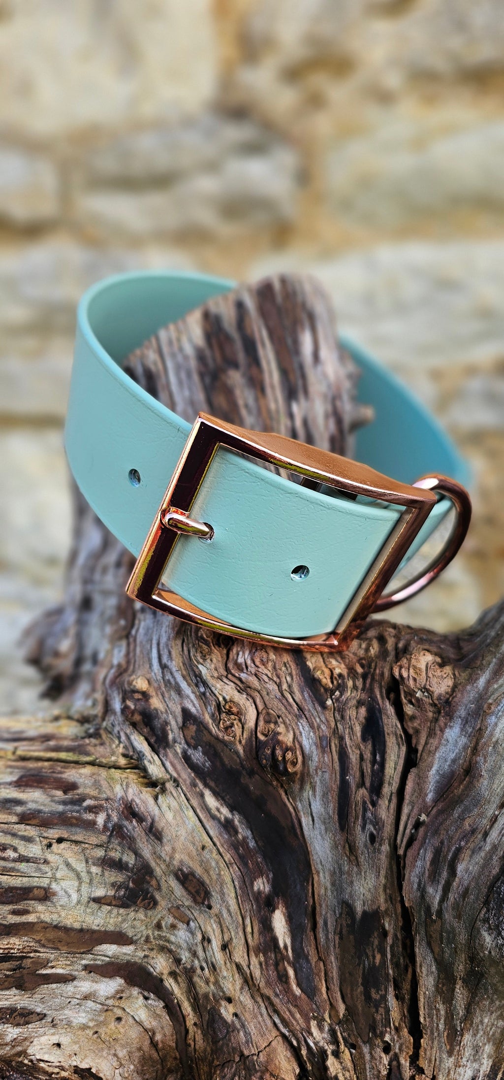 Sage - Mighty Paws Waterproof BioThane© Dog Collar