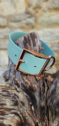 Sage - Mighty Paws Waterproof BioThane© Dog Collar