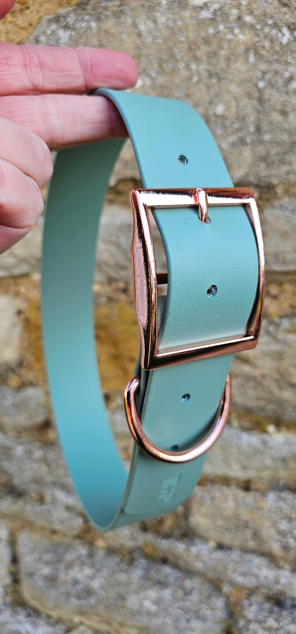Sage - Mighty Paws Waterproof BioThane© Dog Collar