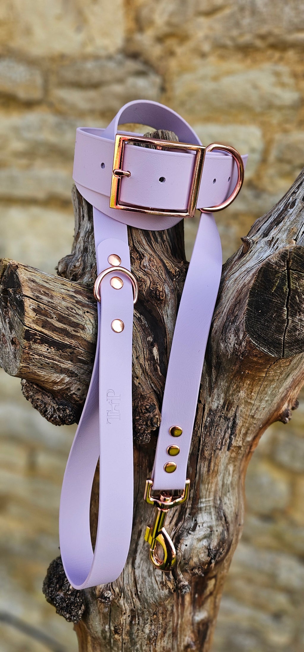 Lilac- Mighty Paws Waterproof BioThane© Dog Collar