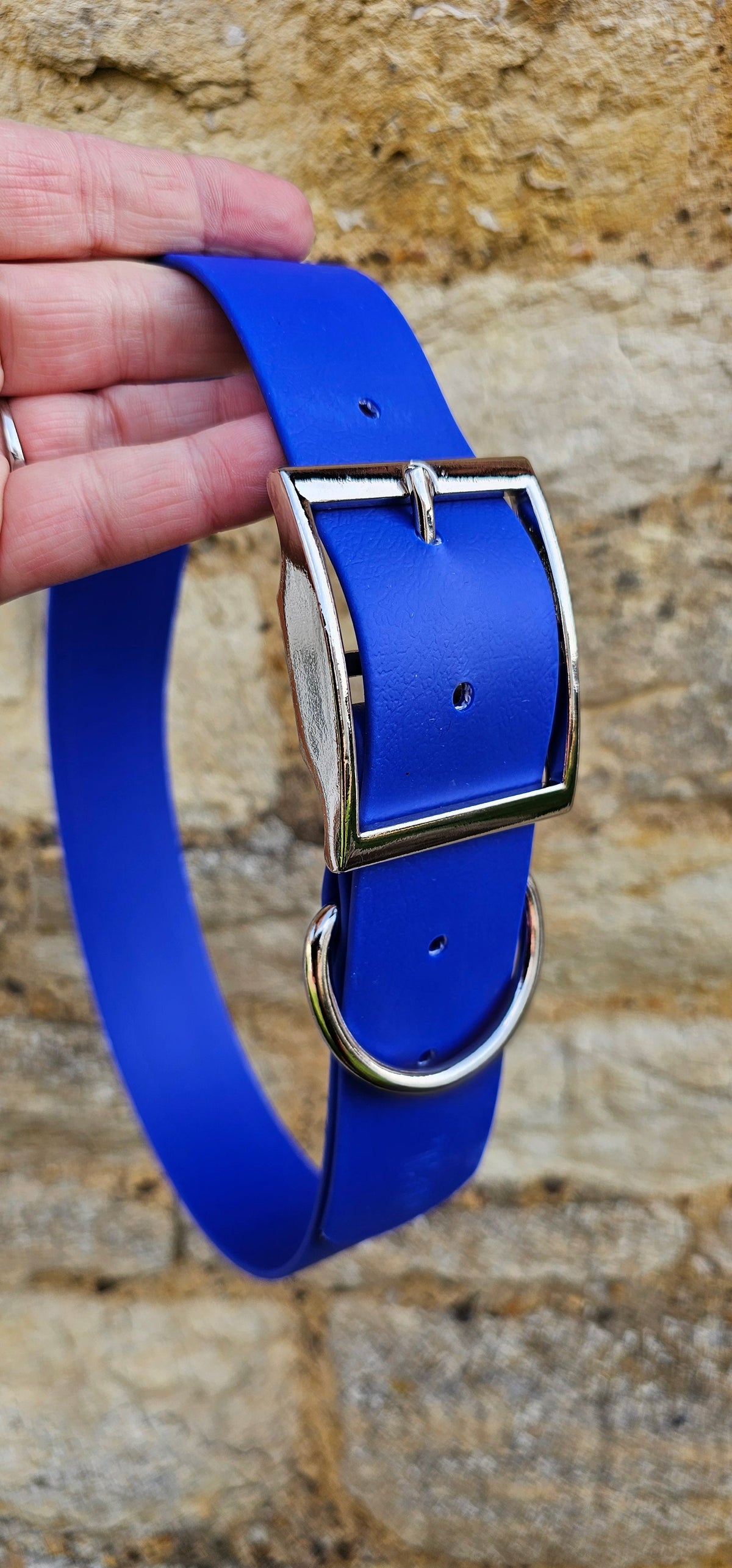 Royal Blue - Mighty Paws Waterproof BioThane© Dog Collar