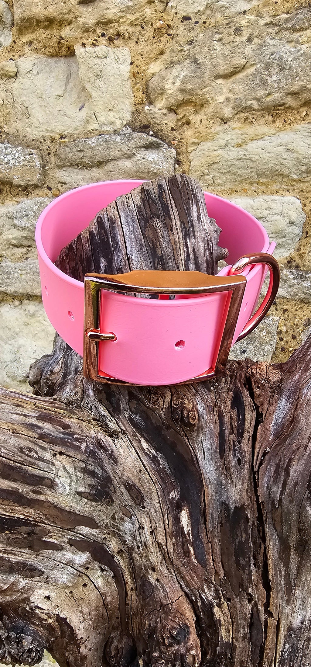 Baby Pink - Mighty Paws Waterproof BioThane© Dog Collar