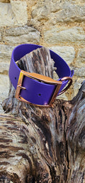 Purple - Mighty Paws Waterproof BioThane© Dog Collar