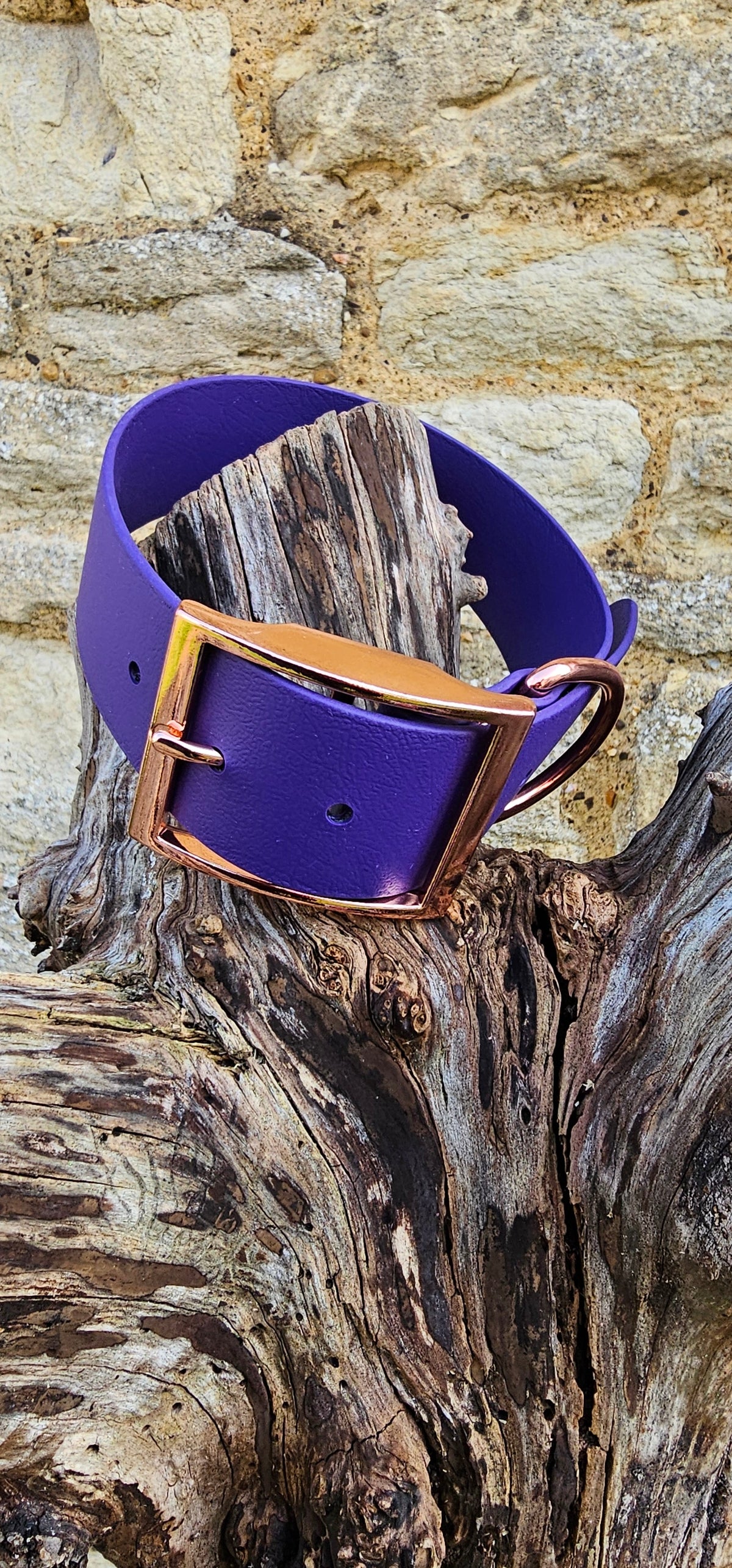 Purple - Mighty Paws Waterproof BioThane© Dog Collar