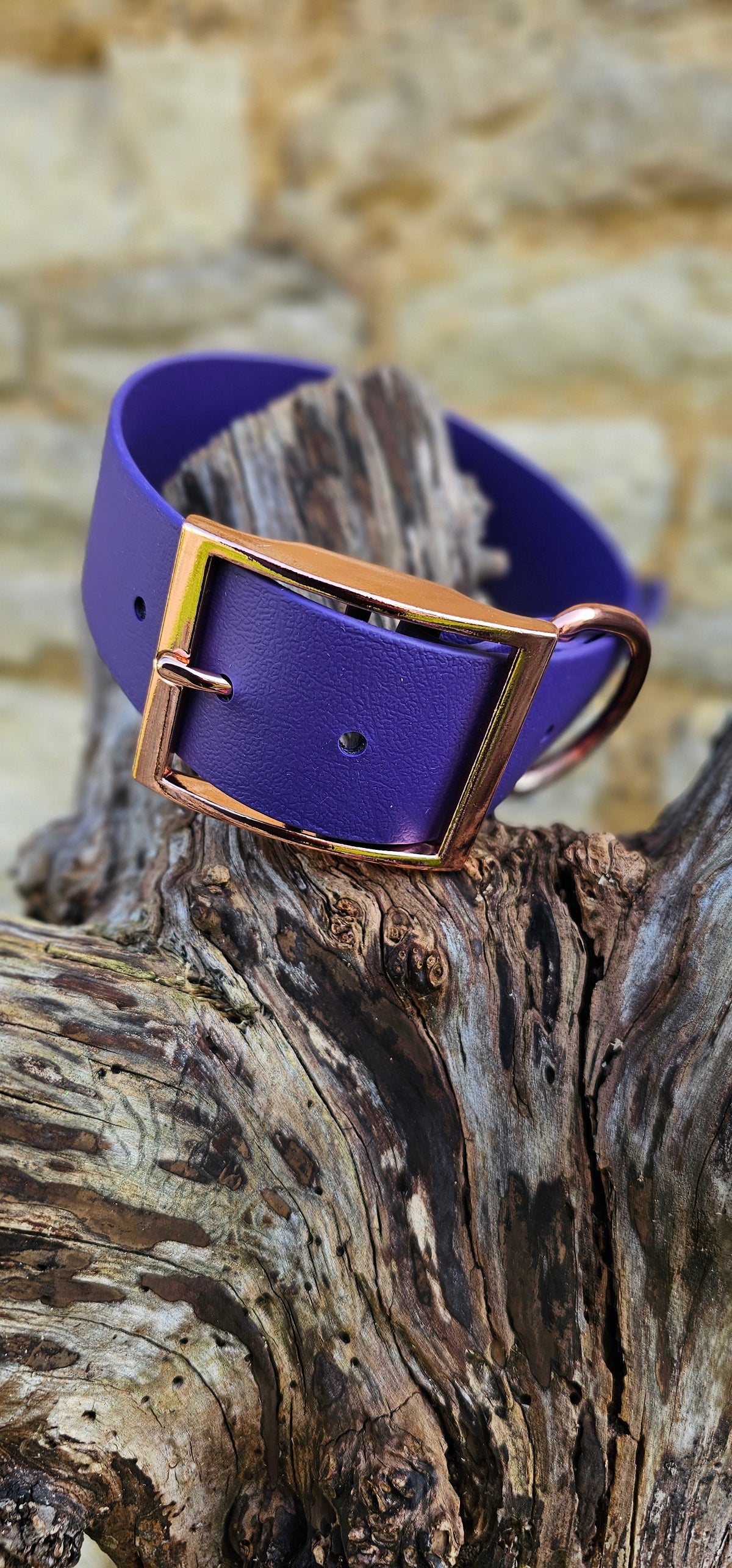 Purple - Mighty Paws Waterproof BioThane© Dog Collar