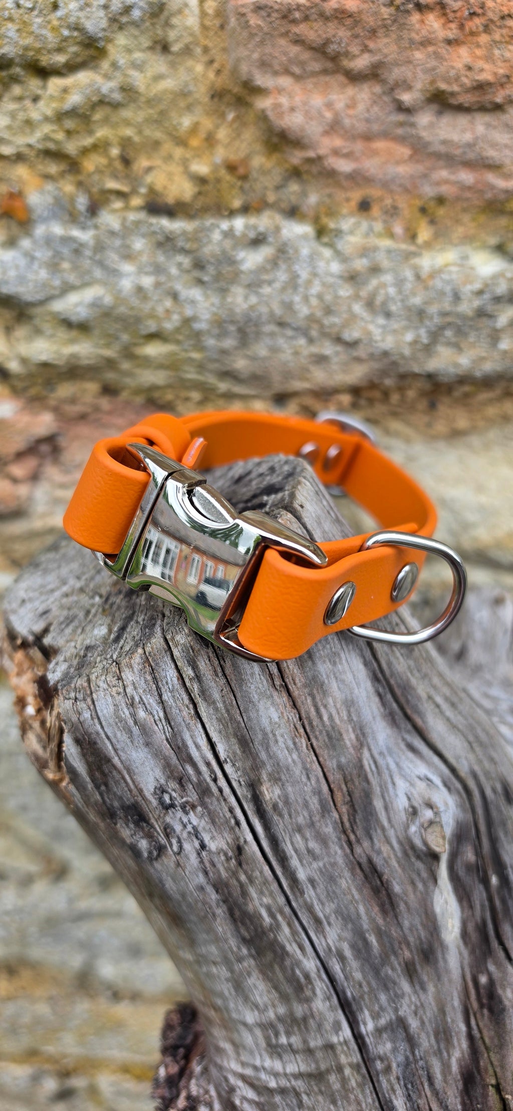 Burnt Orange - Everlast Waterproof BioThane© Quick-Release Buckle Dog Collar