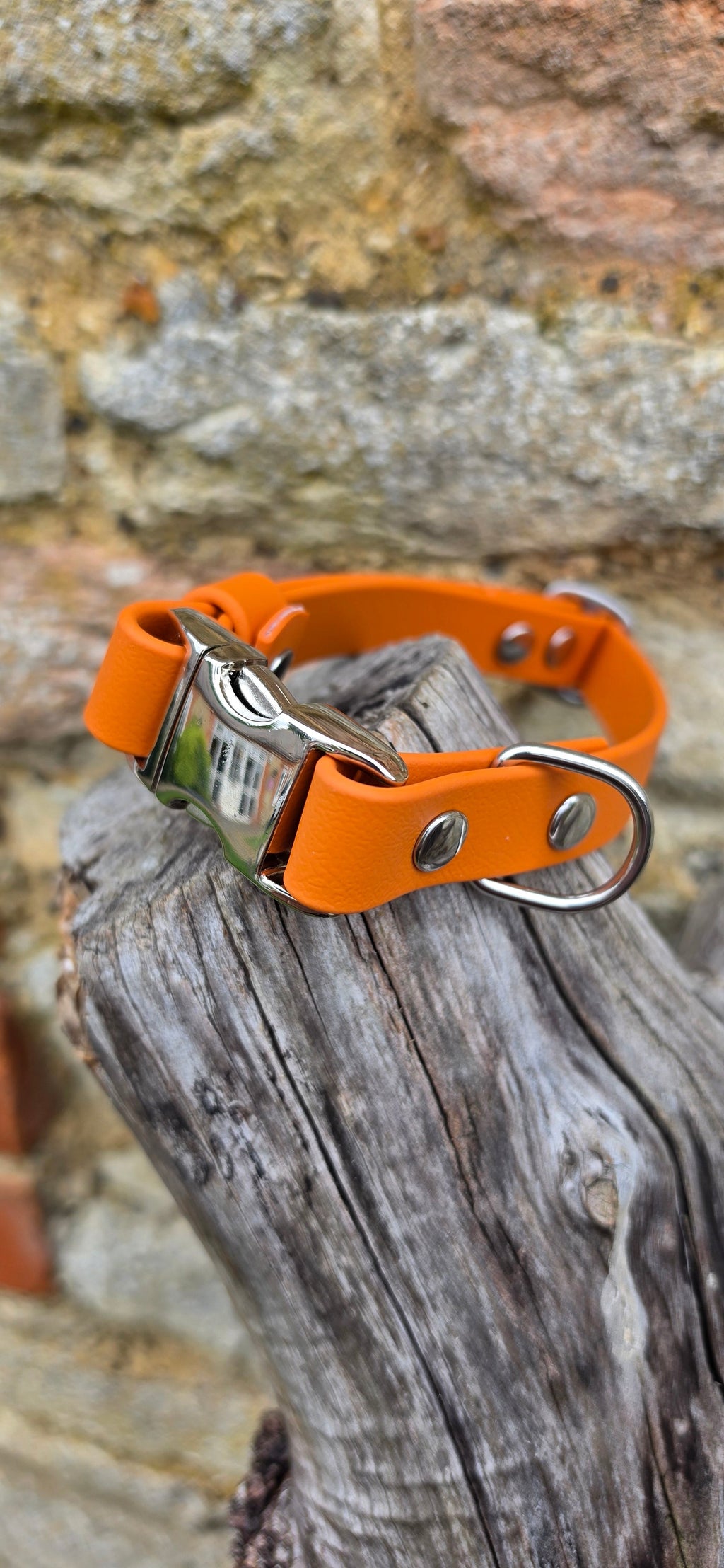 Burnt Orange - Everlast Waterproof BioThane© Quick-Release Buckle Dog Collar