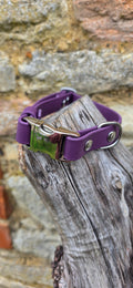 Aubergine - Everlast Waterproof BioThane© Quick-Release Buckle Dog Collar