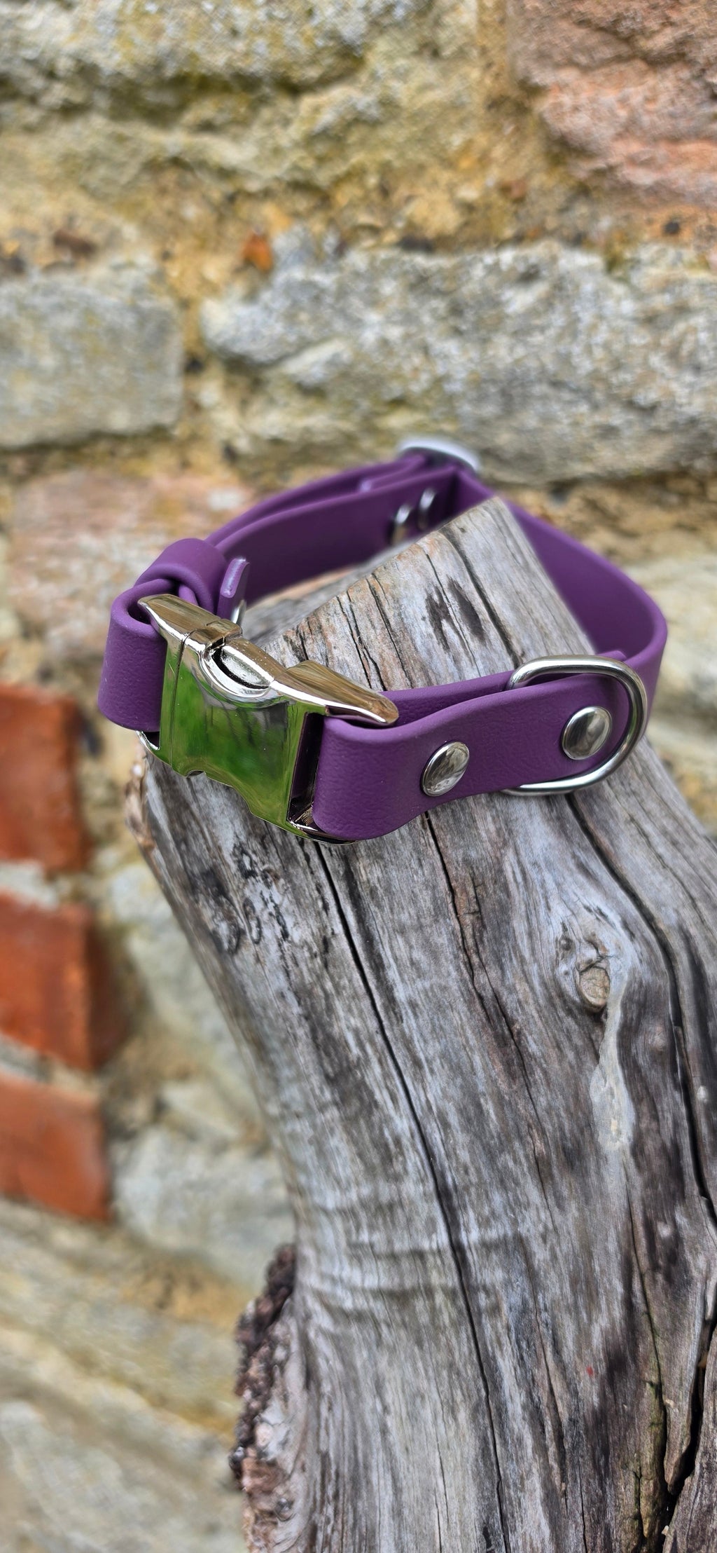 Aubergine - Everlast Waterproof BioThane© Quick-Release Buckle Dog Collar