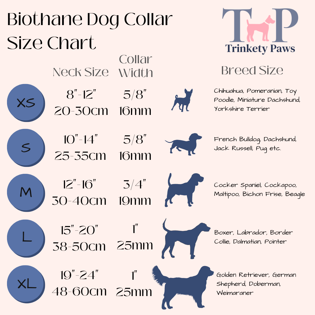 Sage - Everlast Waterproof BioThane© Quick-Release Buckle Dog Collar