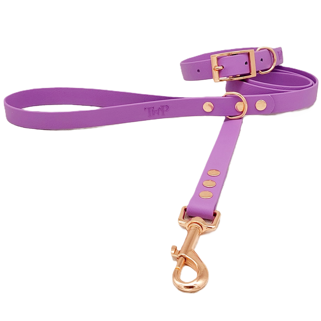 Amethyst - Waterproof BioThane© Dog Lead