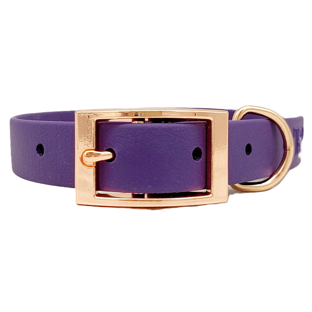 Purple - Waterproof BioThane© Dog Collar
