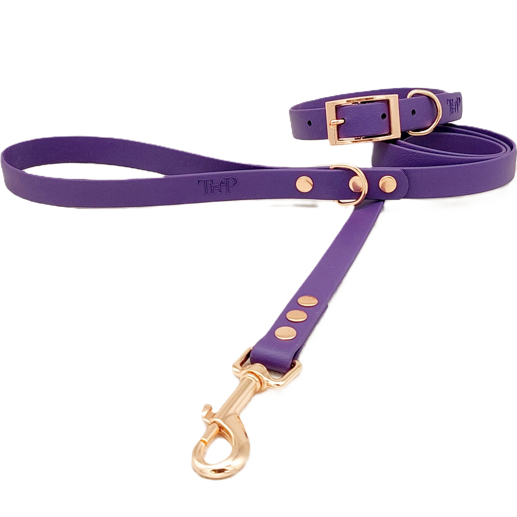 Purple - Waterproof BioThane© Dog Lead