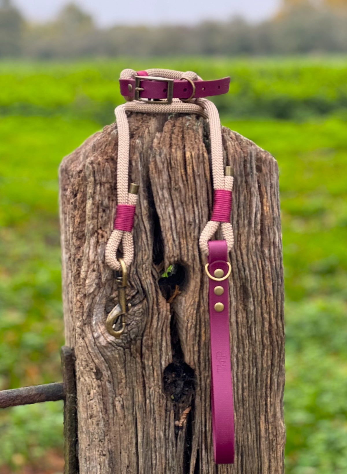 Sand & Burgundy - Classic Rope Dog Collar