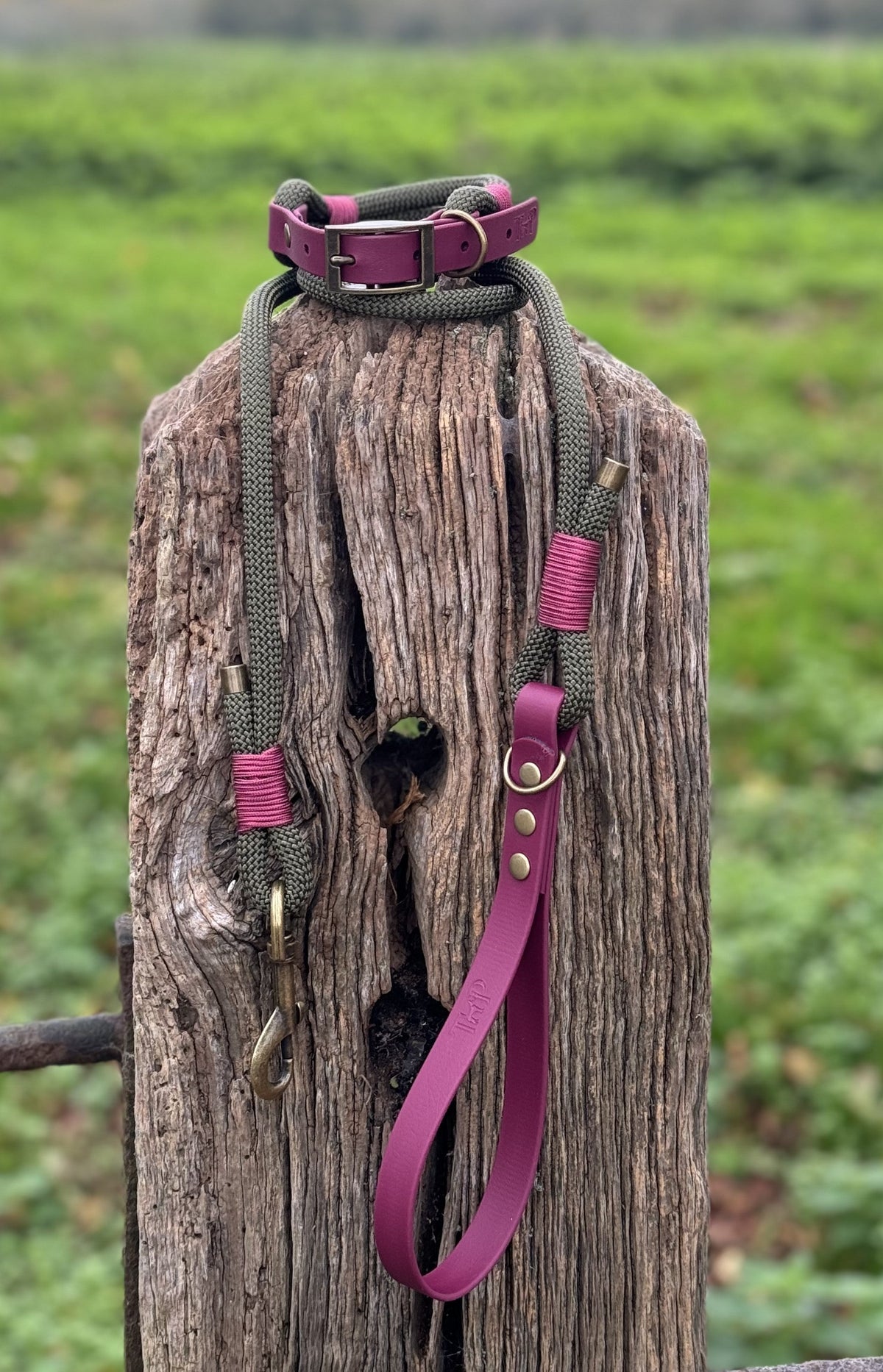 Army Green & Burgundy - Classic Rope Dog Lead