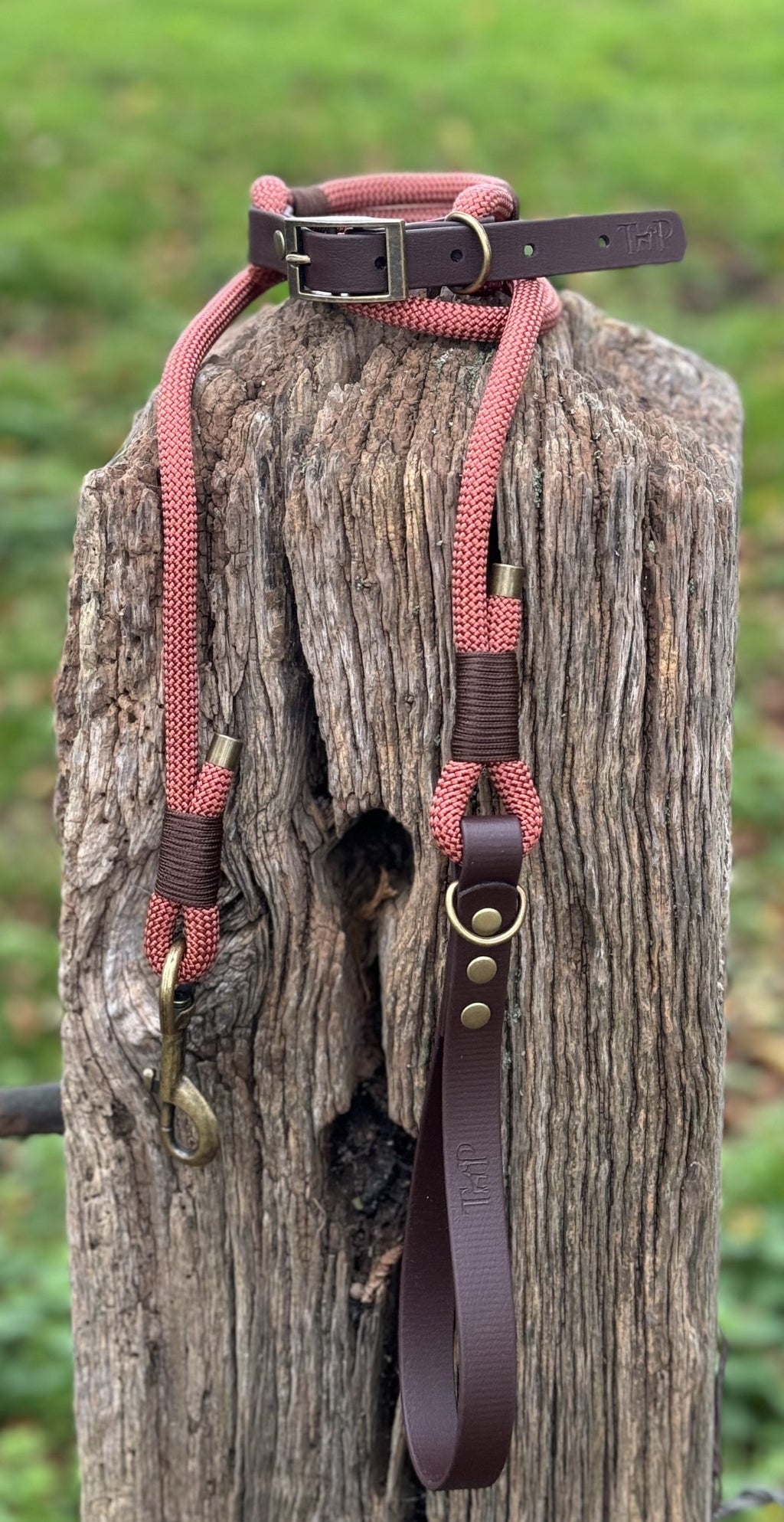 Rust & Dark Brown - Classic Rope Dog Collar