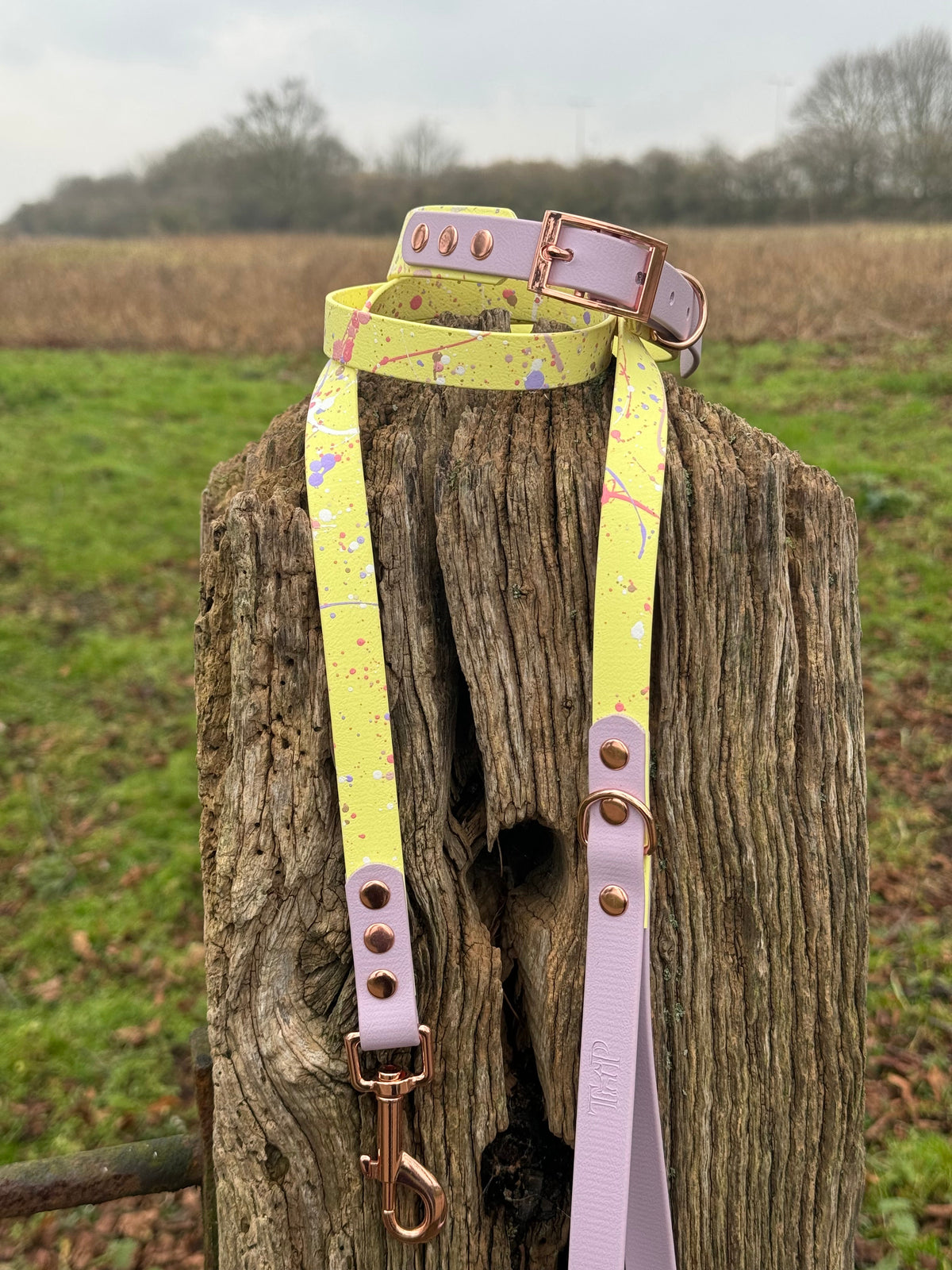Lavender Lemonade - Waterproof BioThane© Splatter Dog Lead - Pastel Collection