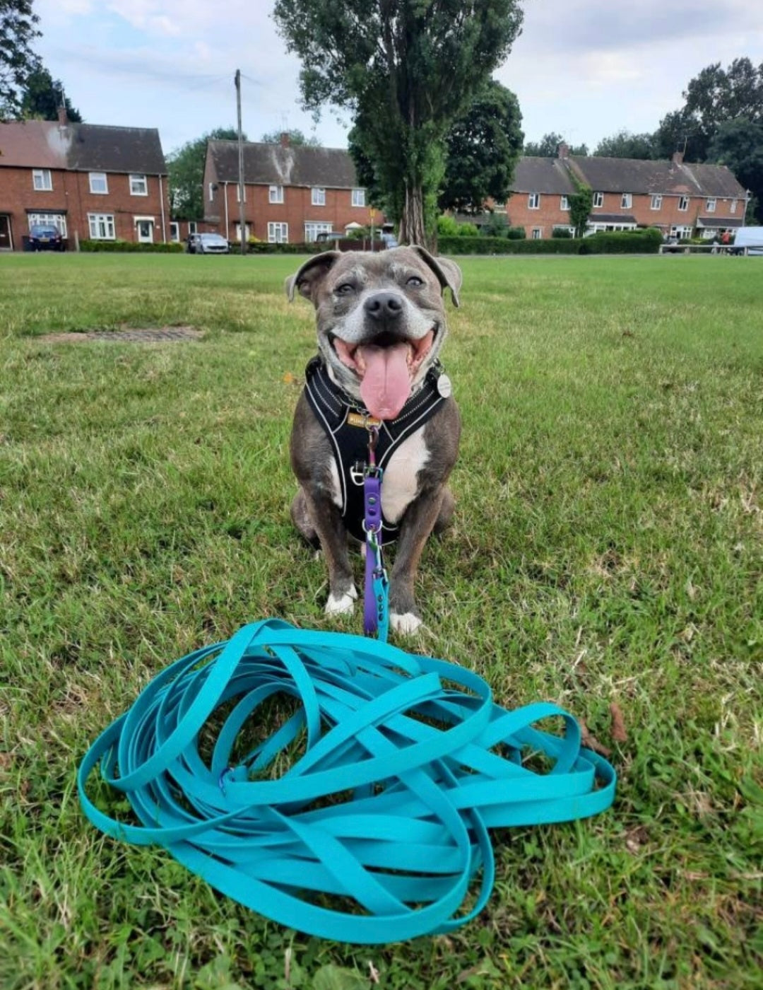 Teal - Waterproof BioThane© Dog Long Line Lead
